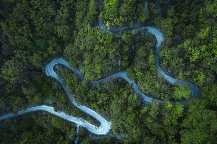 Aerial View of Winding Forest Road 4K