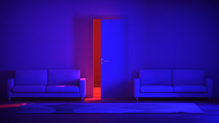 Interior scene with two sofas and a door