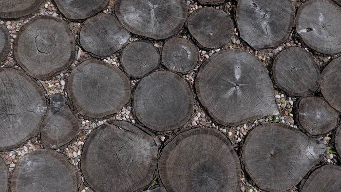 Wood log pathway with gravel