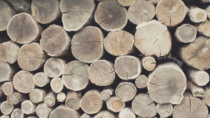 Stack of cut wood logs
