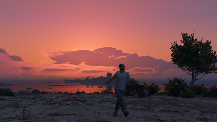 Trevor Philips from Grand Theft Auto V at sunset