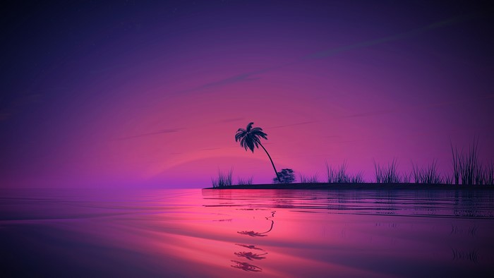 4K Sunset Reflection Landscape with Palm Tree
