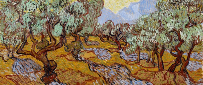 Olive Trees by Vincent van Gogh