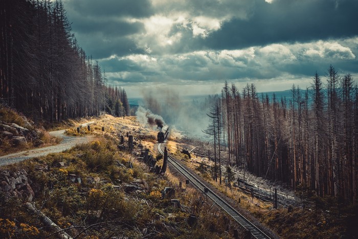 Steam train on a railway through a forest