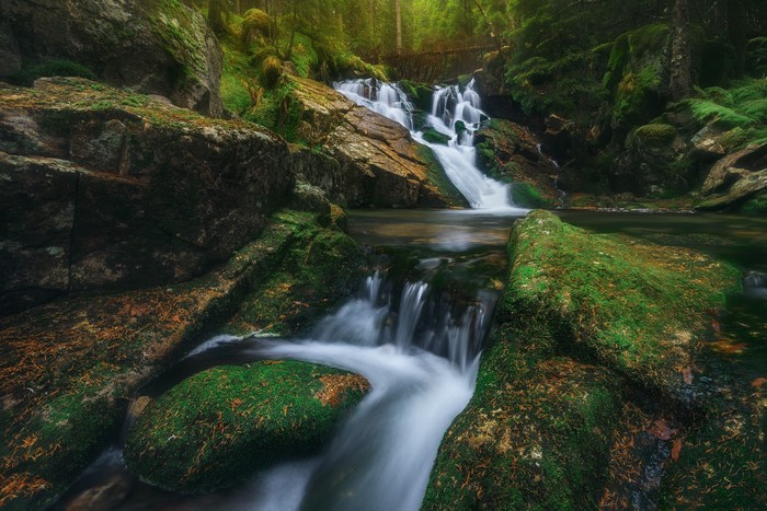 Mossy rocks and a cascading waterfall in a forest