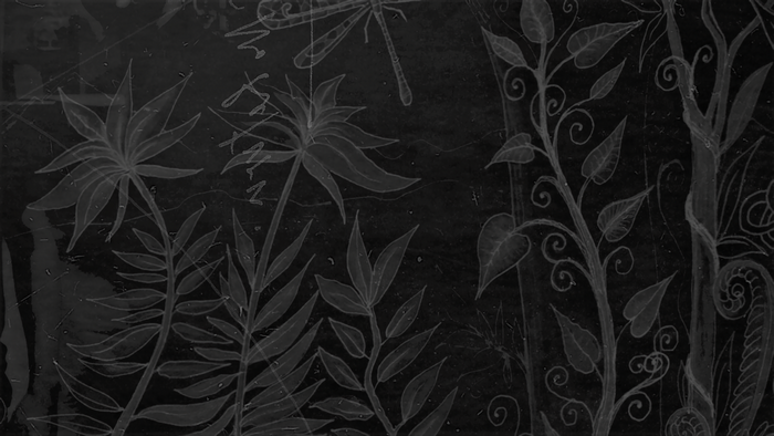 Monochrome illustration of plants and a dragonfly