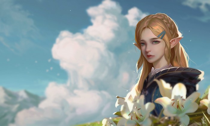 Zelda from The Legend of Zelda: Breath of the Wild