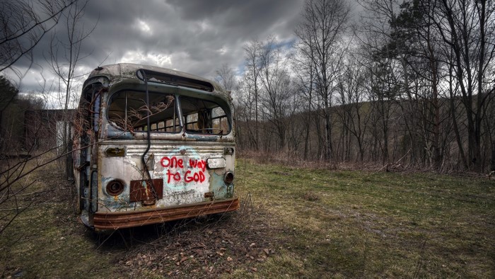 Abandoned bus with graffiti in a forest