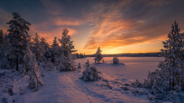 Snow-covered pine trees by a frozen lake at sunset