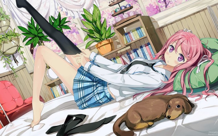 Anime girl with pink hair and dachshund