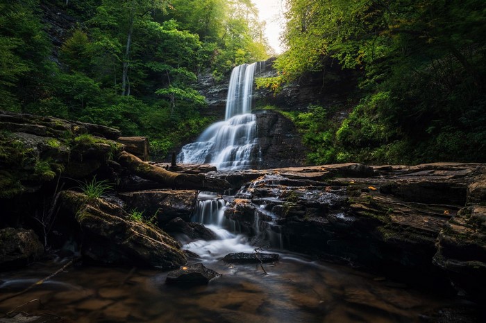 Waterfall in a lush green forest