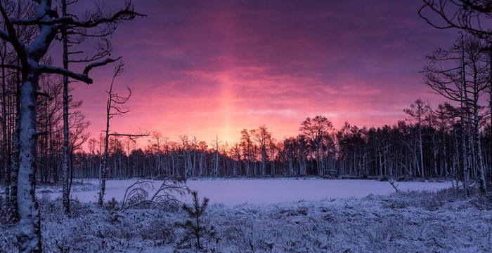 Winter sunset over a snowy forest and frozen lake