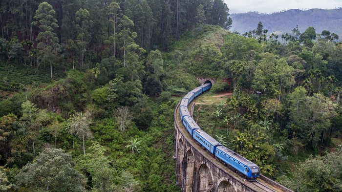 Blue train crossing a viaduct in a lush forest