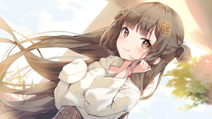 Anime Girl with Long Brown Hair and Brown Eyes