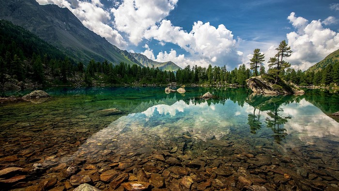 Mountain lake with trees and reflection