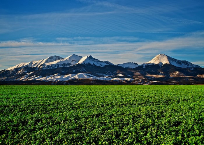 Snowy mountains in Colorado, USA, with a green field
