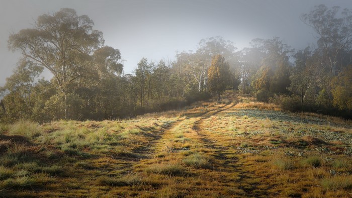 4K nature landscape outdoors