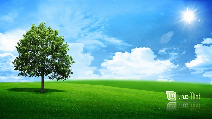 Linux Mint logo on a grassy hill with a tree
