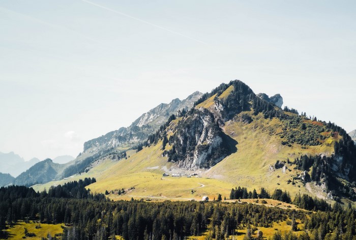 Mountain landscape with trees and a clear sky