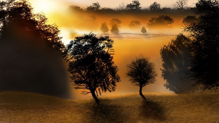 Digital painting of a misty forest landscape at sunrise