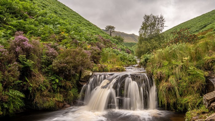 Waterfall in a green valley with heather and ferns