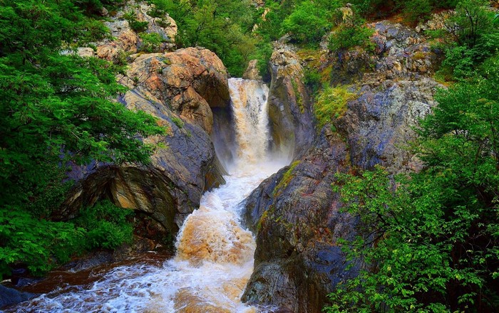 Waterfall cascading over rocks surrounded by trees