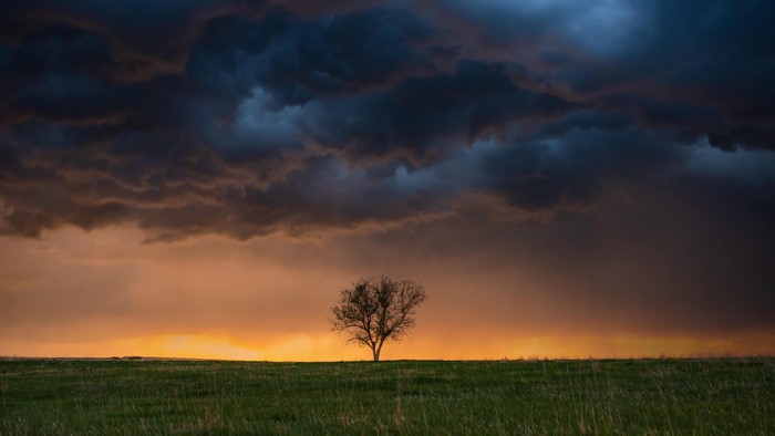 4K, Wyoming, field, landscape
