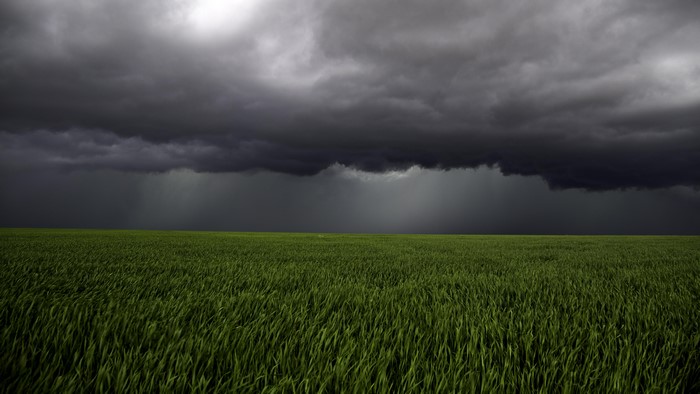 4K, nature, landscape, field, storm