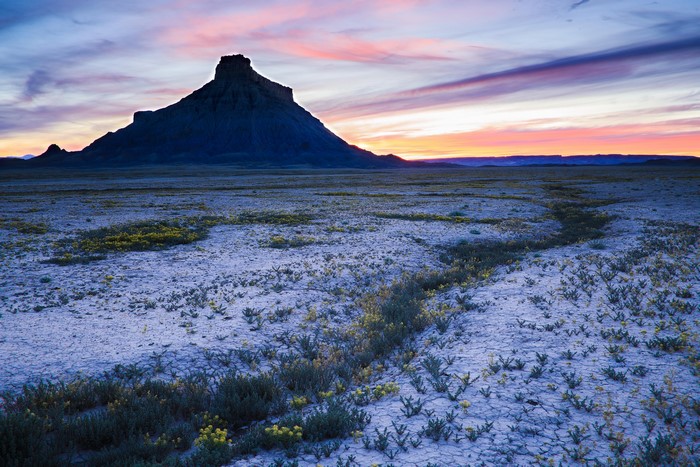 4K, sunset, flowers, Badlands (nature), nature, Utah, USA, landscape