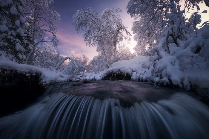 winter, ice, cold, water, trees, snow, creeks, nature