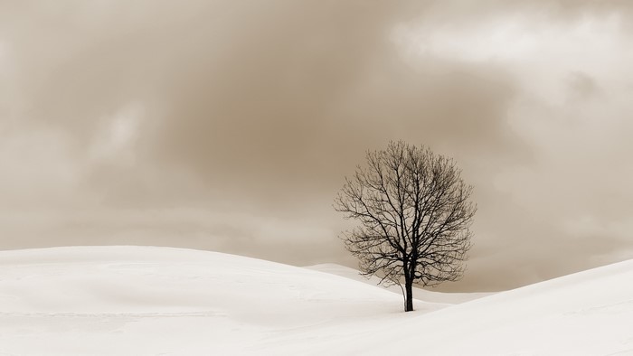 outdoors, snow, cold, landscape, nature, trees, winter