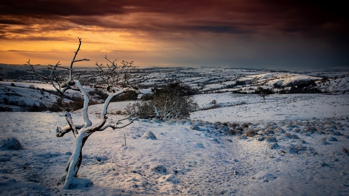 4K, outdoors, winter, nature, sunlight, snow, cold