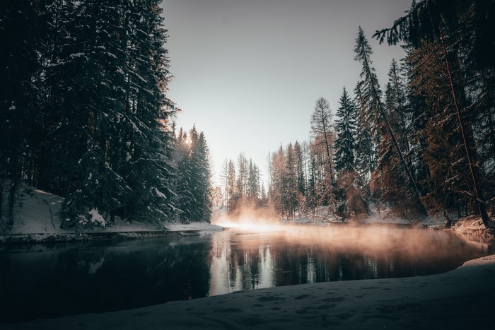 river, nature, mist, snow, winter, forest