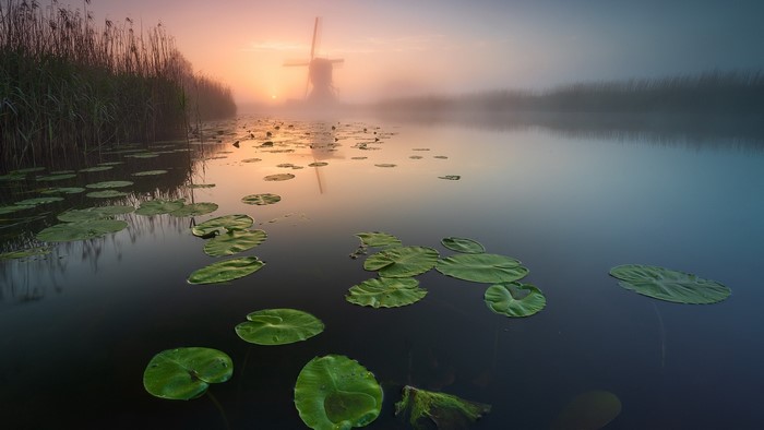 windmill, plants, calm waters, nature, sunlight, outdoors
