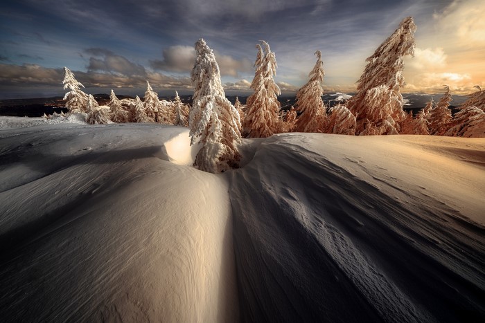 sunlight, winter, Robert Didierjean, trees, wind, nature, clouds, sky, landscape, snow