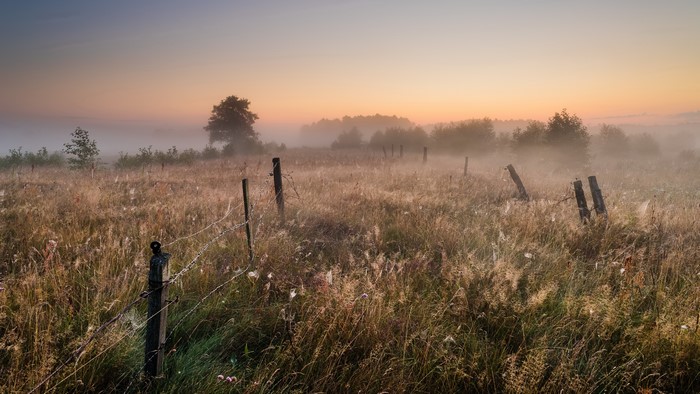 4K, sunlight, field, nature, landscape, plants, fence, outdoors