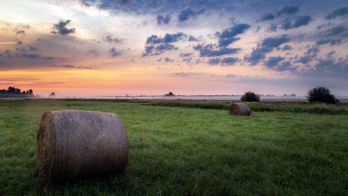 4K, grass, mist, outdoors, plants, horizon, sky, sunlight, nature, haystacks, field