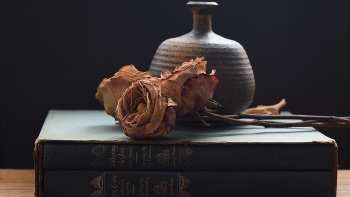 books, plants, still life, flowers