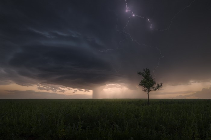 landscape, sky, desolate, field, lightning, trees, clouds, horizon, overcast, grass, Ryan Dyar