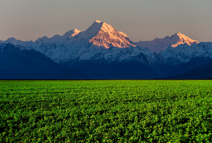 mountain top, mountains, nature, field