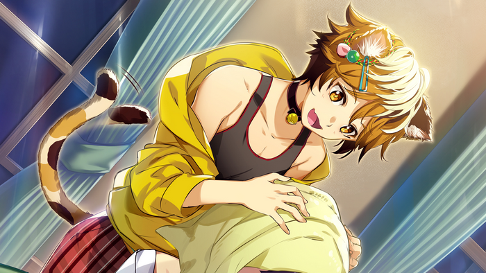 Nekopara Catboys Paradise, Neko Para, cat boy, anime
