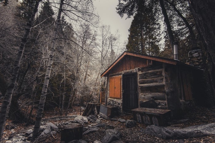 cabin, trees, nature, forest
