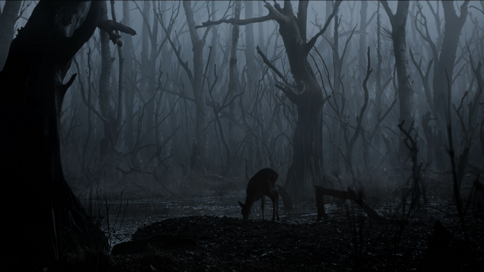 The Witcher (TV Series), TV Series, trees, animals, dark, deer, nature