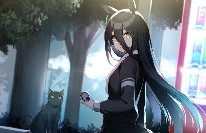 anime, cats, Uma Musume Pretty Derby, Manhattan Cafe (Uma Musume), animal ears, anime girls