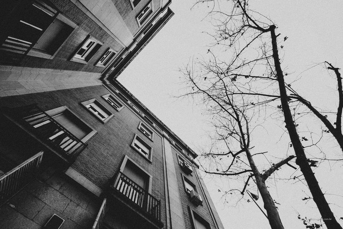 monochrome, Evandro Rocha, Brasil, architecture, building, trees