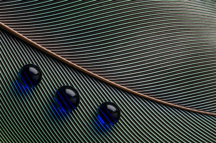 photography, shadow, macro, Bruno Militelli, lines, closeup, water drops, leaves