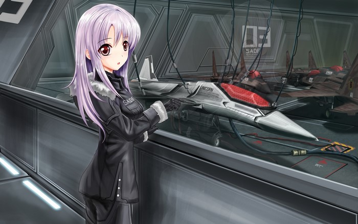 4K, looking at viewer, red eyes, anime girls, purple hair, Ace Combat, jet fighter