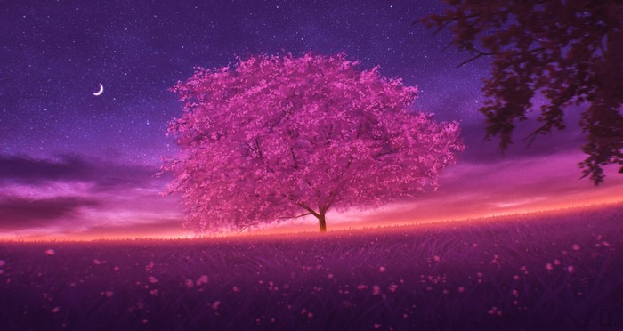 Cherry Blossom Tree Under Starry Night Sky