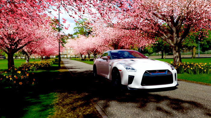 video games, GTR R33, vehicle, screen shot, white cars, car, Forza Horizon 4