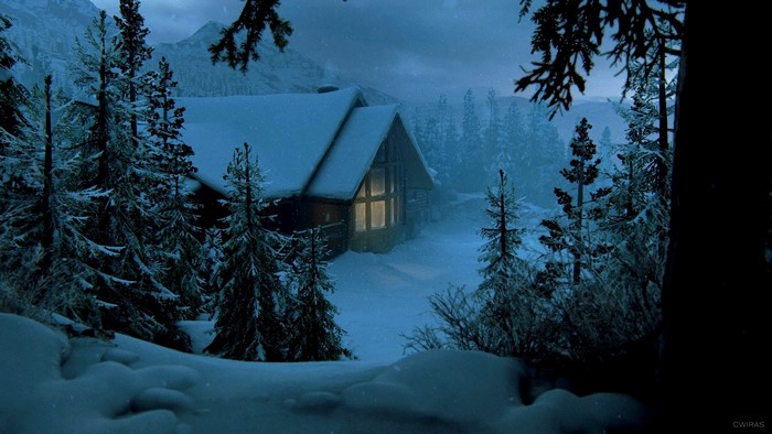 video games, PlayStation, The Last of Us, video game art, PlayStation 4, winter, tree house, The Last of Us 2, Naughty Dog, Sony, screen shot, snow, 4Gamers